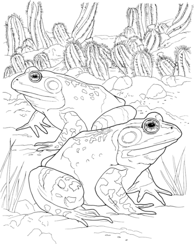 Desert Toads Coloring Page